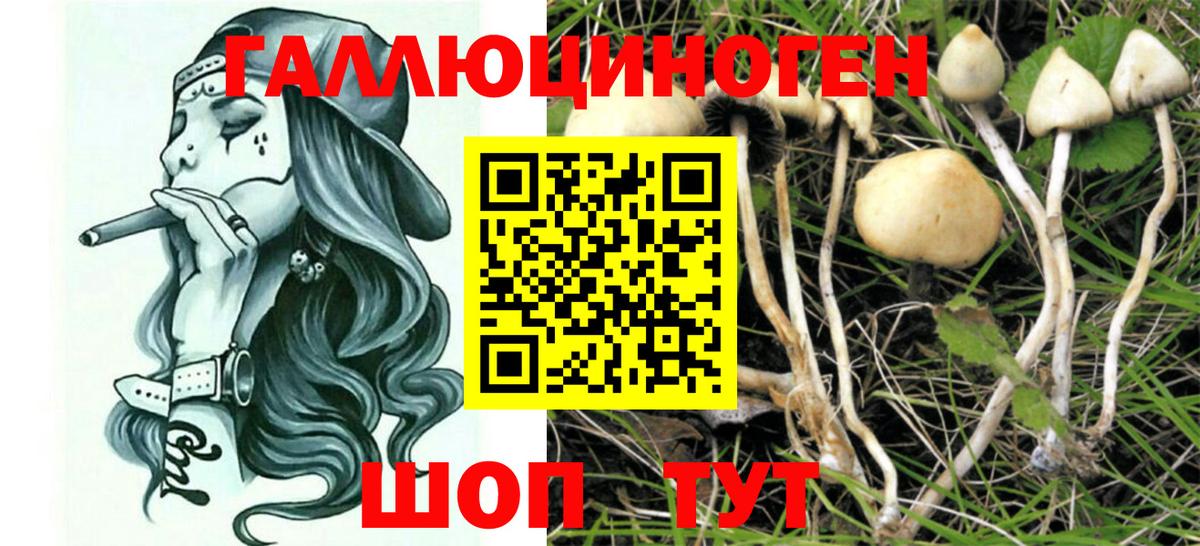 Якутск  наркота  Вход с VPN  Галлюциногенные грибы мухоморы 